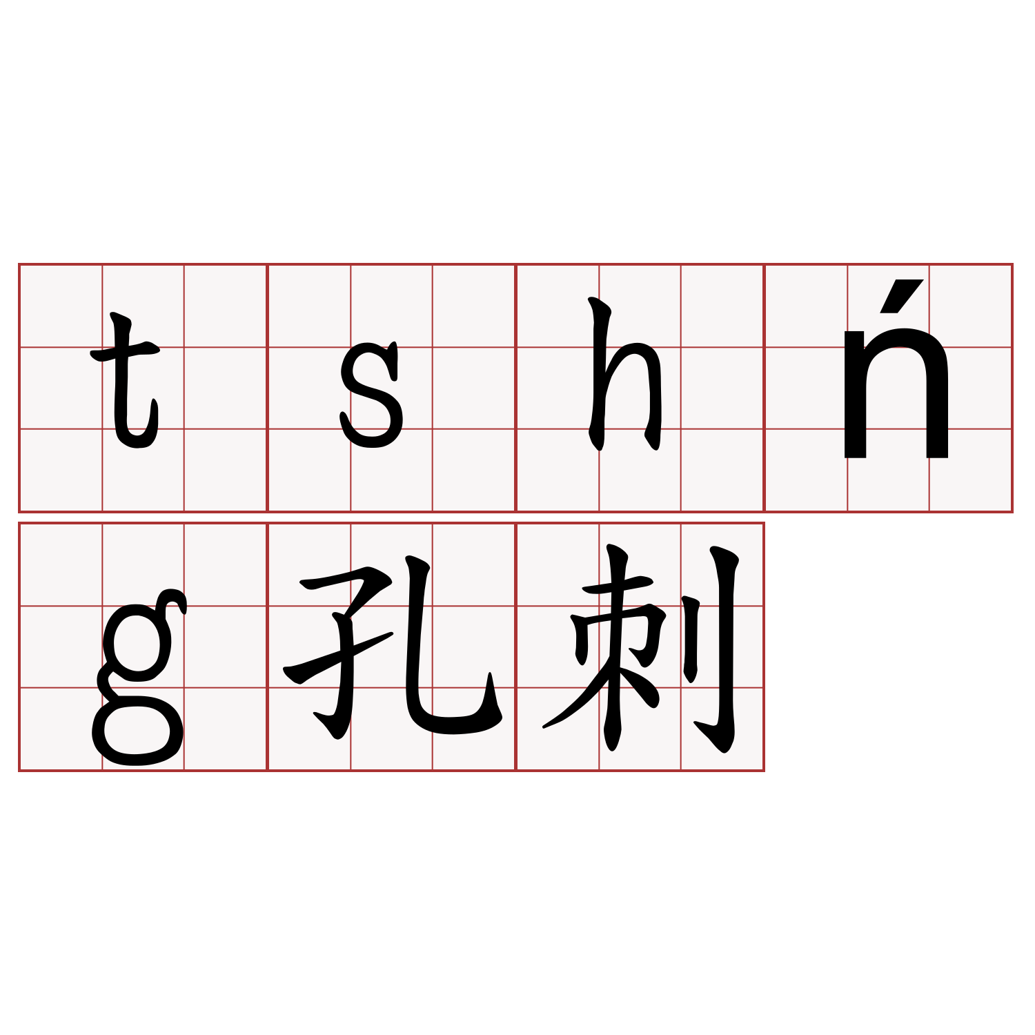 tshńg孔刺