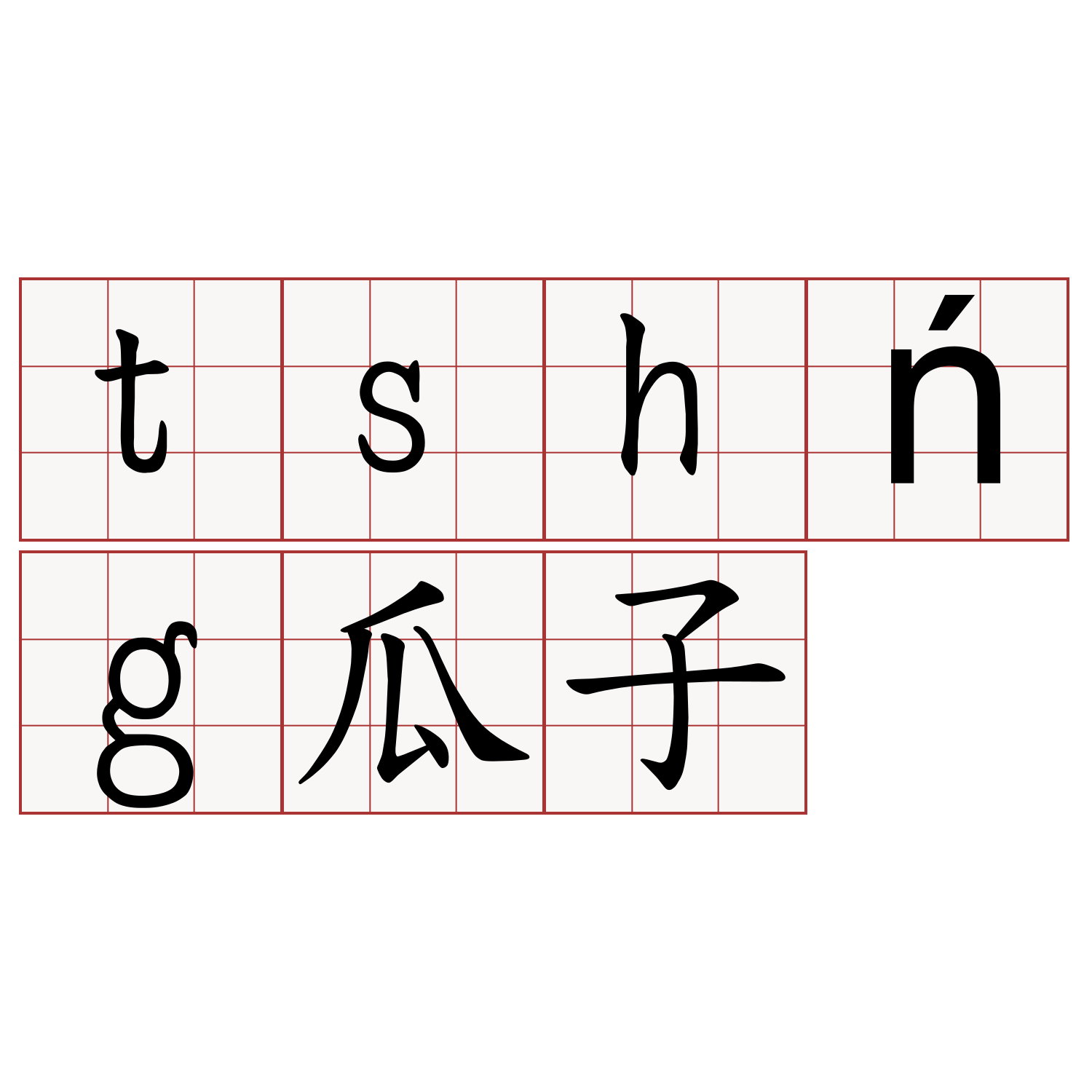 tshńg瓜子