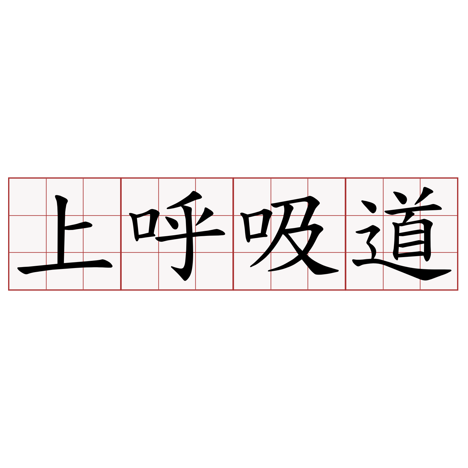 上呼吸道