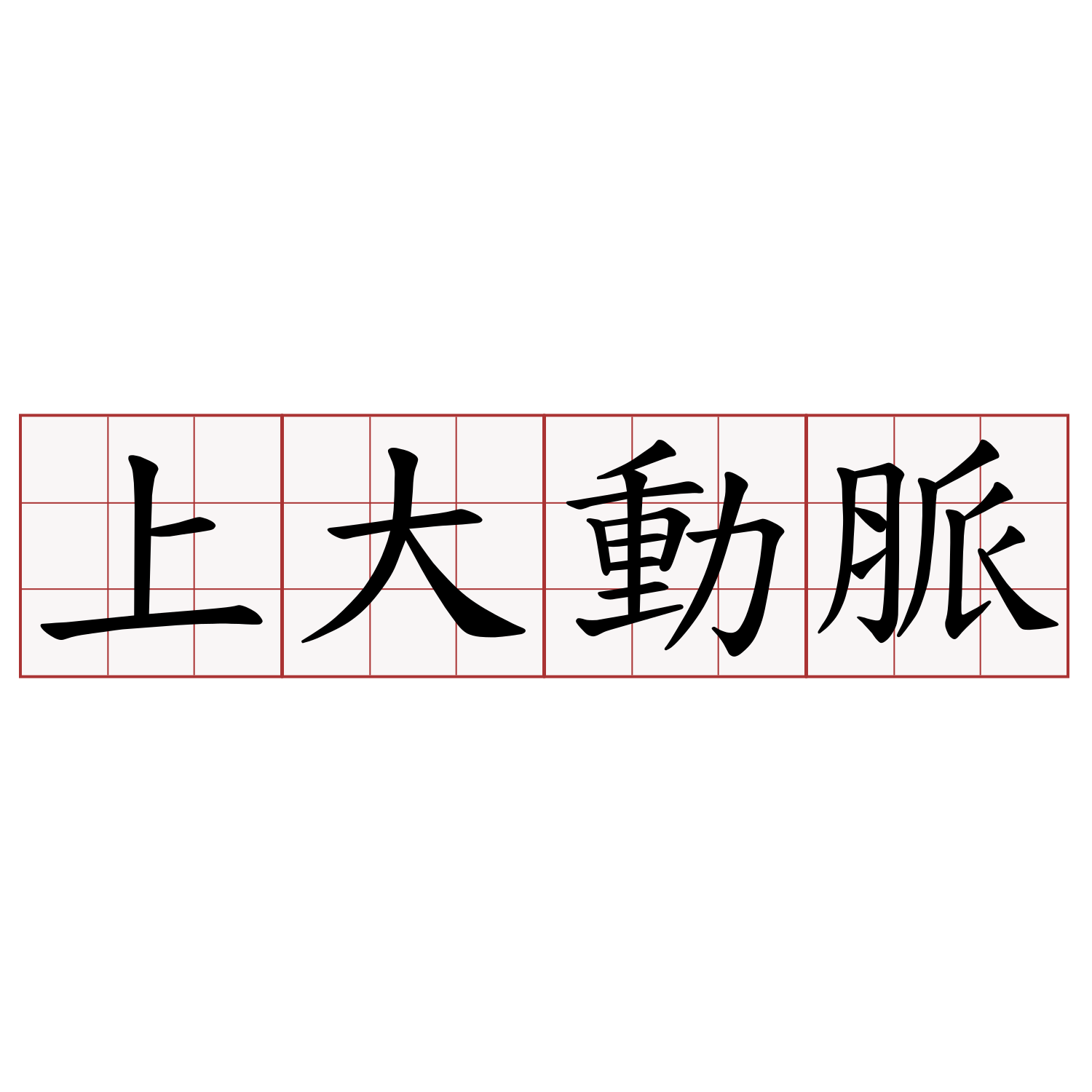 上大動脈