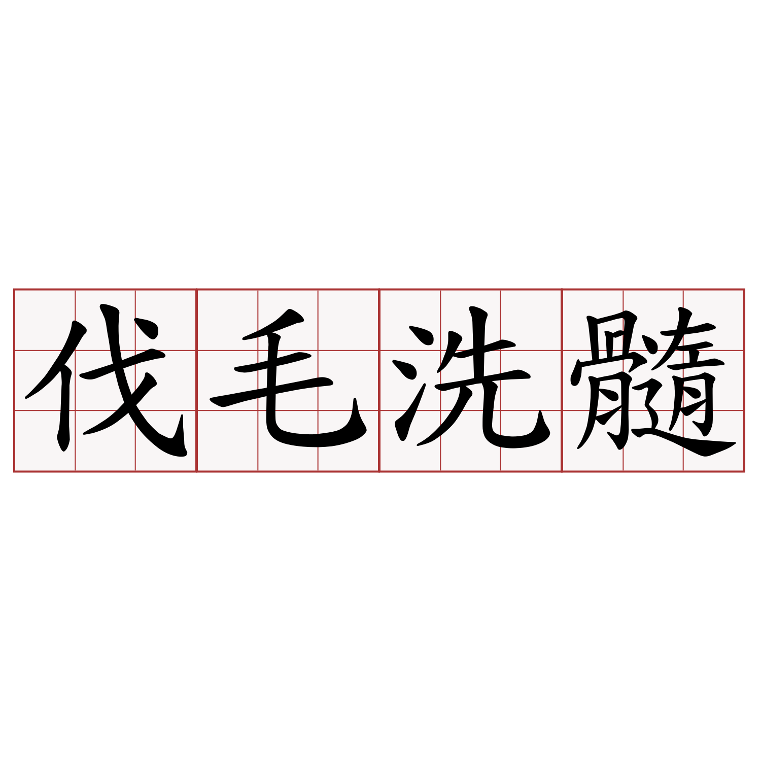 伐毛洗髓