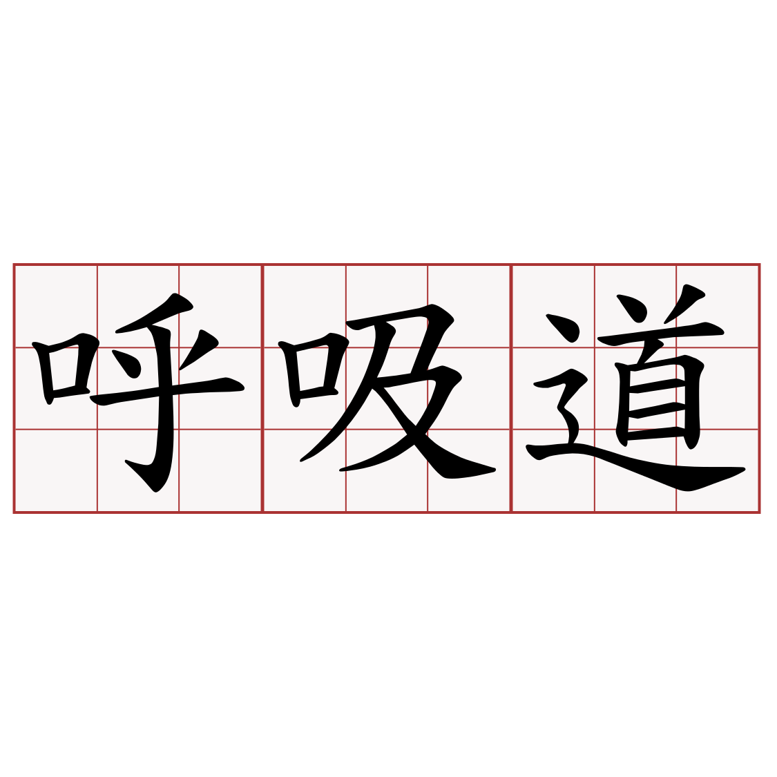 呼吸道