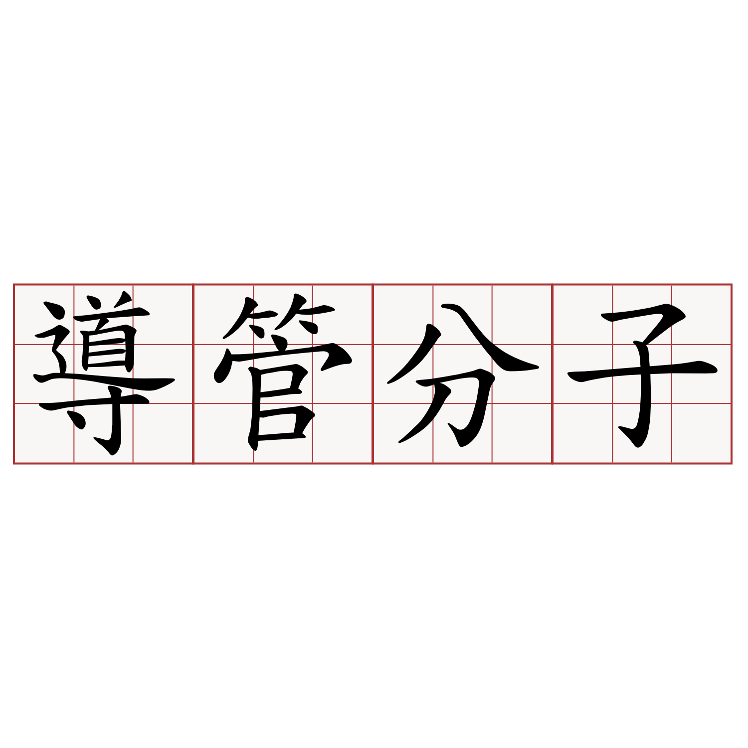 導管分子