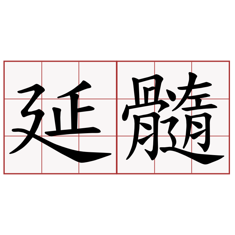 延髓