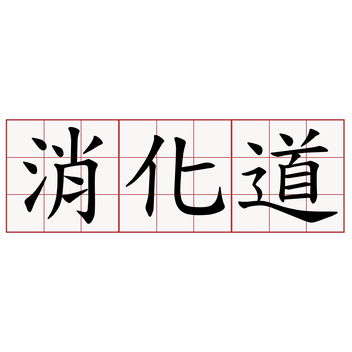 消化道