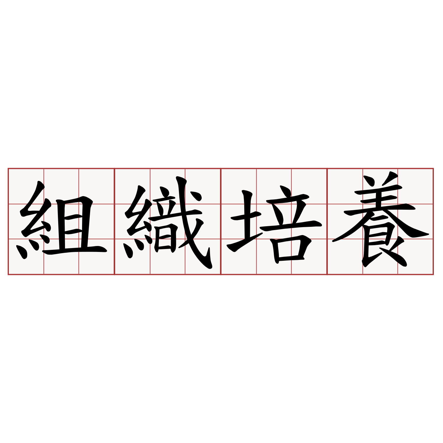 組織培養